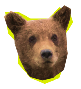Image of a bear's head with a neon green outline