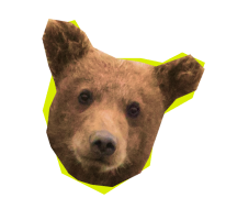 Image of a bear's head with a neon green outline